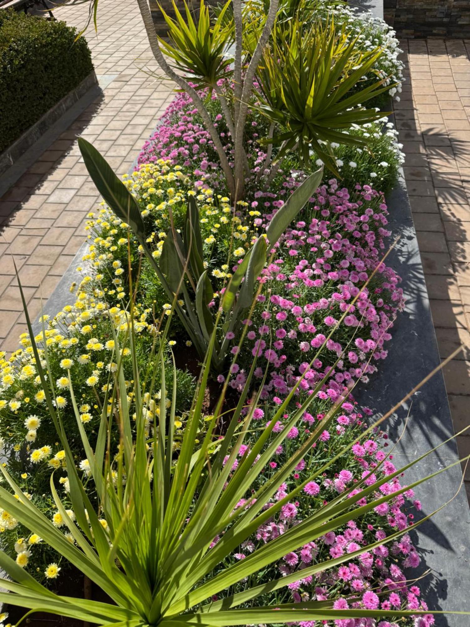 Appartement Luxueux Casa Nearshore Casablanca Eksteriør billede